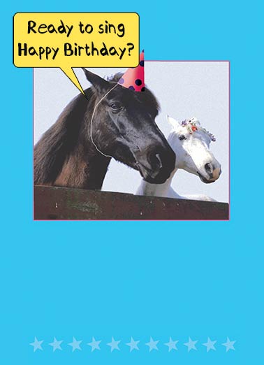 Two Horses  Funny Animals Card    "I can't... I'm a little horse."